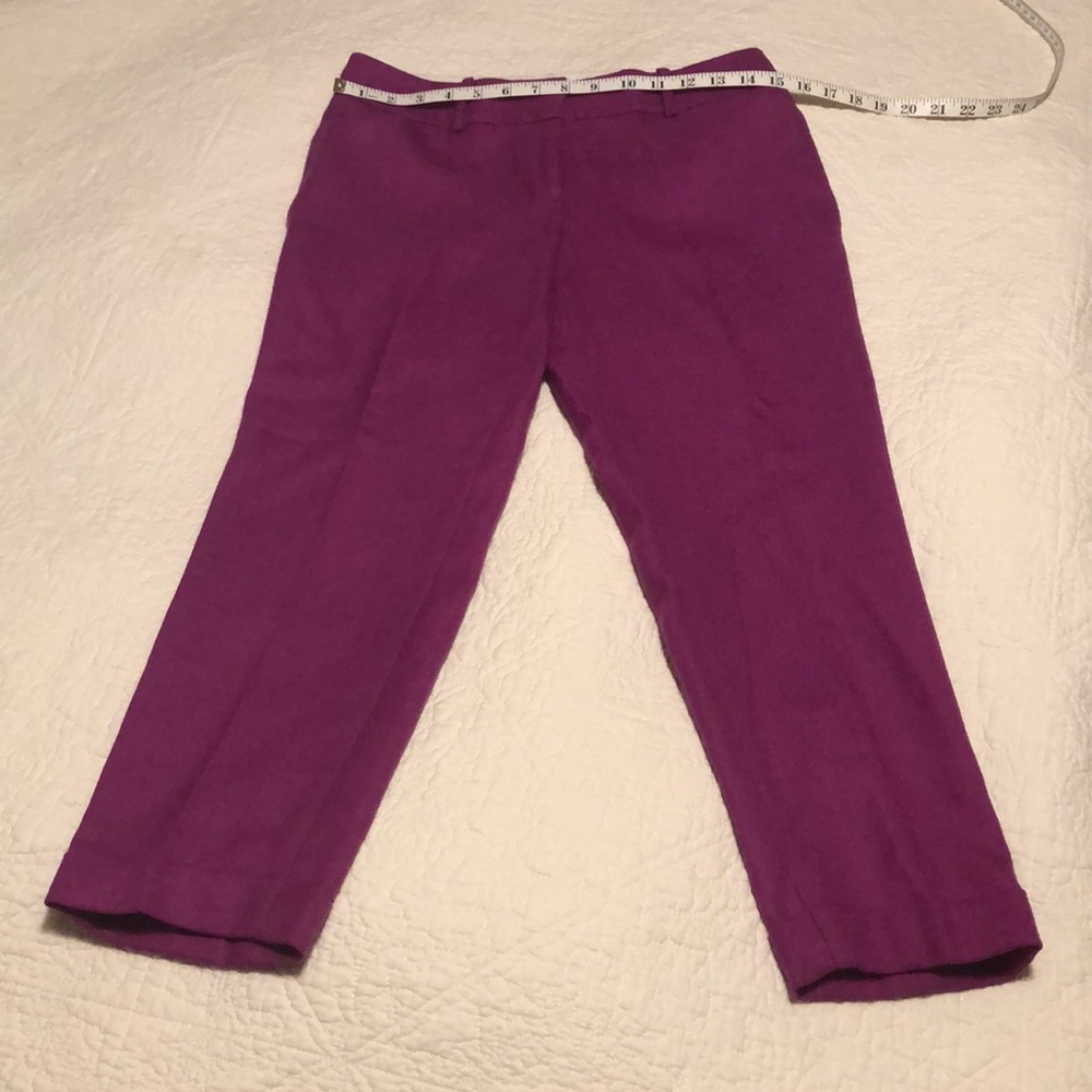 Gorgeous crop pants
